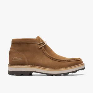 Clarks Corston Wally Waterproof Dark Sand Warmlined Støvler Herre Mørkebrune | EFCRV-5867