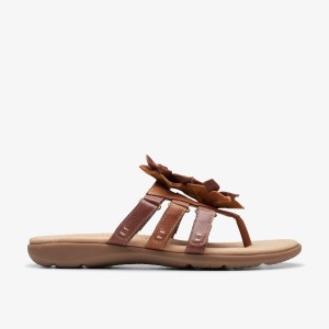 Clarks Elizabelle Mae Tan Combination Sandaler Dame Brune | ZIWVO-8571