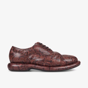 Clarks Martine Rose Mens Oxford 1 Brown Snake Pæne Sko Herre Brune Slangeprint | JUDHI-7216