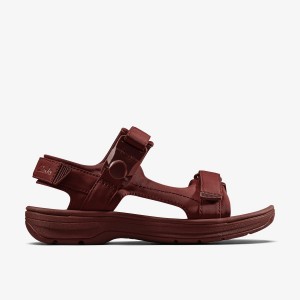 Clarks Martine Rose Mens Sandal 2 Oxblood Textile Sandaler Herre Bordeaux | AXJDS-1964