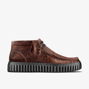 Clarks Martine Rose Torhill Hi Brown Snake Støvler Dame Brune Slangeprint | MAZDI-1428